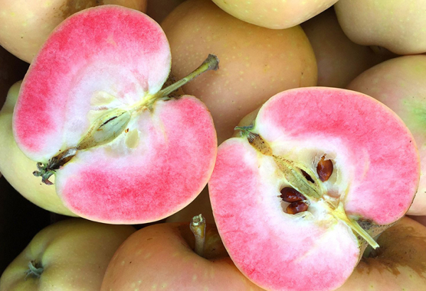 5 сортов красномясистых яблок, которые отличаются прекрасным вкусом